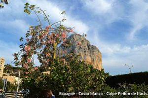 029- Calpe - Port